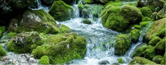 Water flowing through rocks in nature