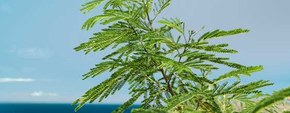 2-climate-and-water-2023-trends-Thumbnail