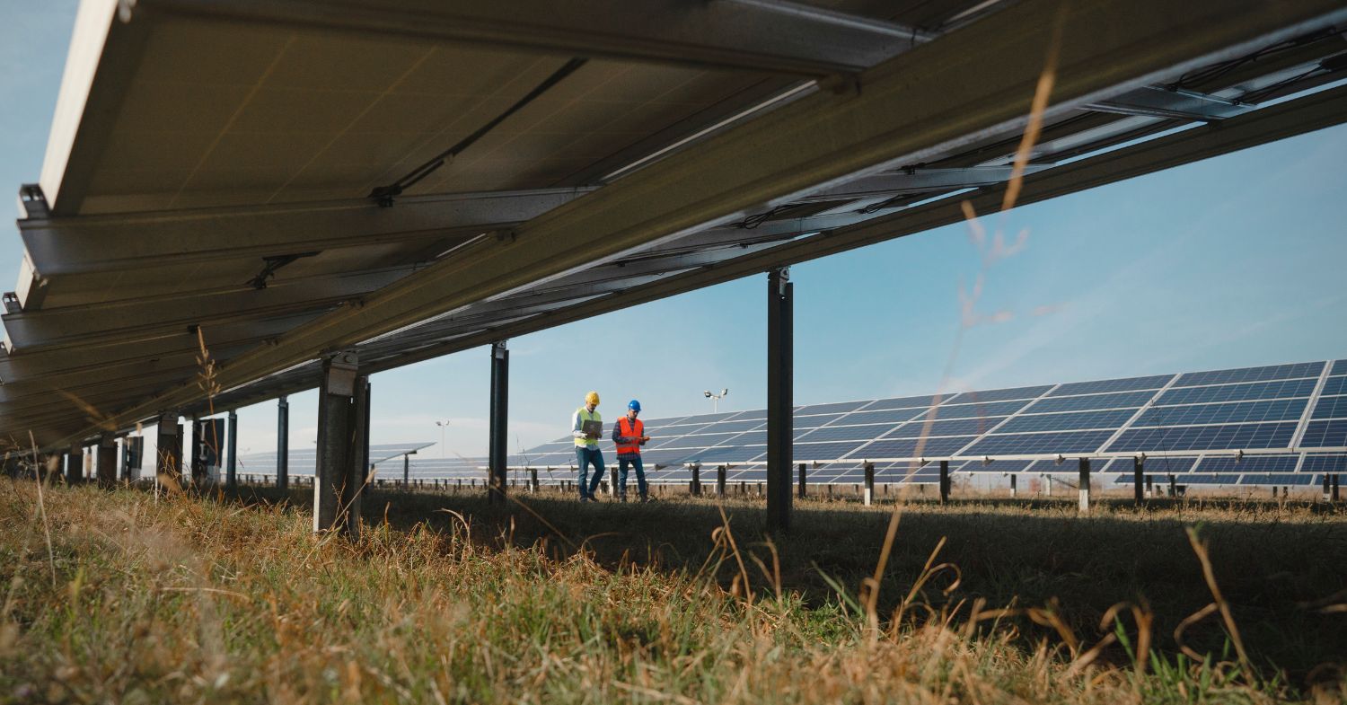 3 Customized Environmental Solutions for Specific Project Needs