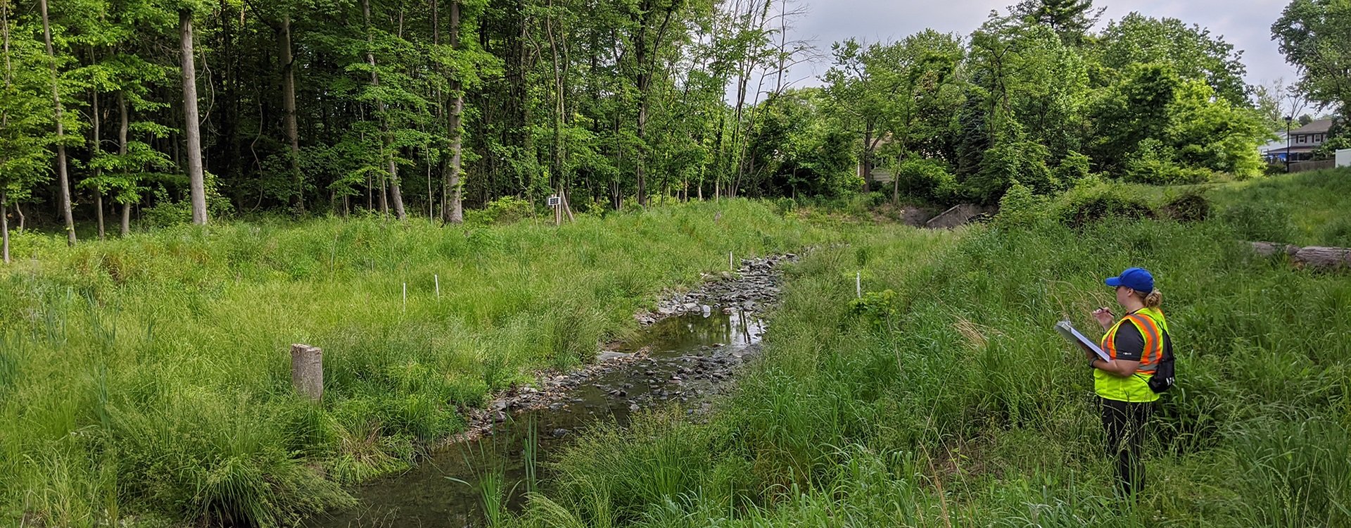 bnr-Dead-Run-Stream