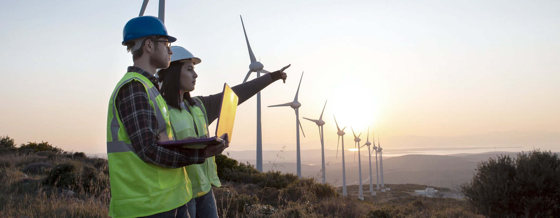 bnr-wsp-Environmental-Planning-Service