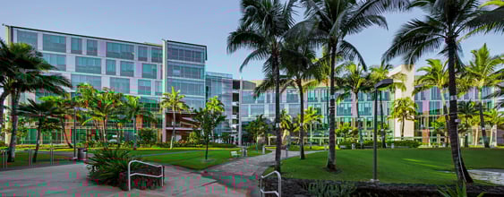 university-hawaii-cancer-center-palm-exterior-dusk