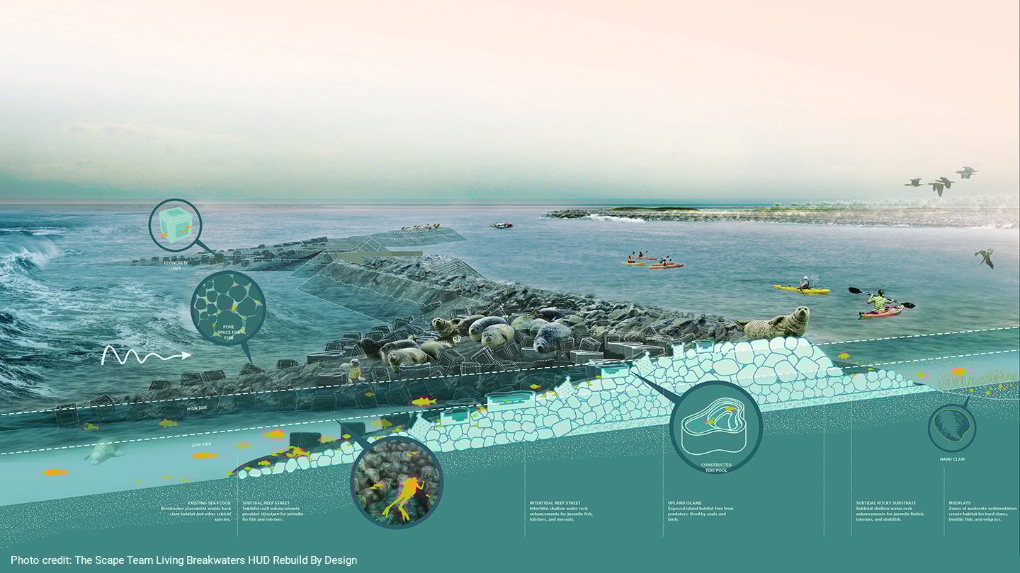 img-coastal-engineering-living-breakwaters-hud-rebuild-by-design