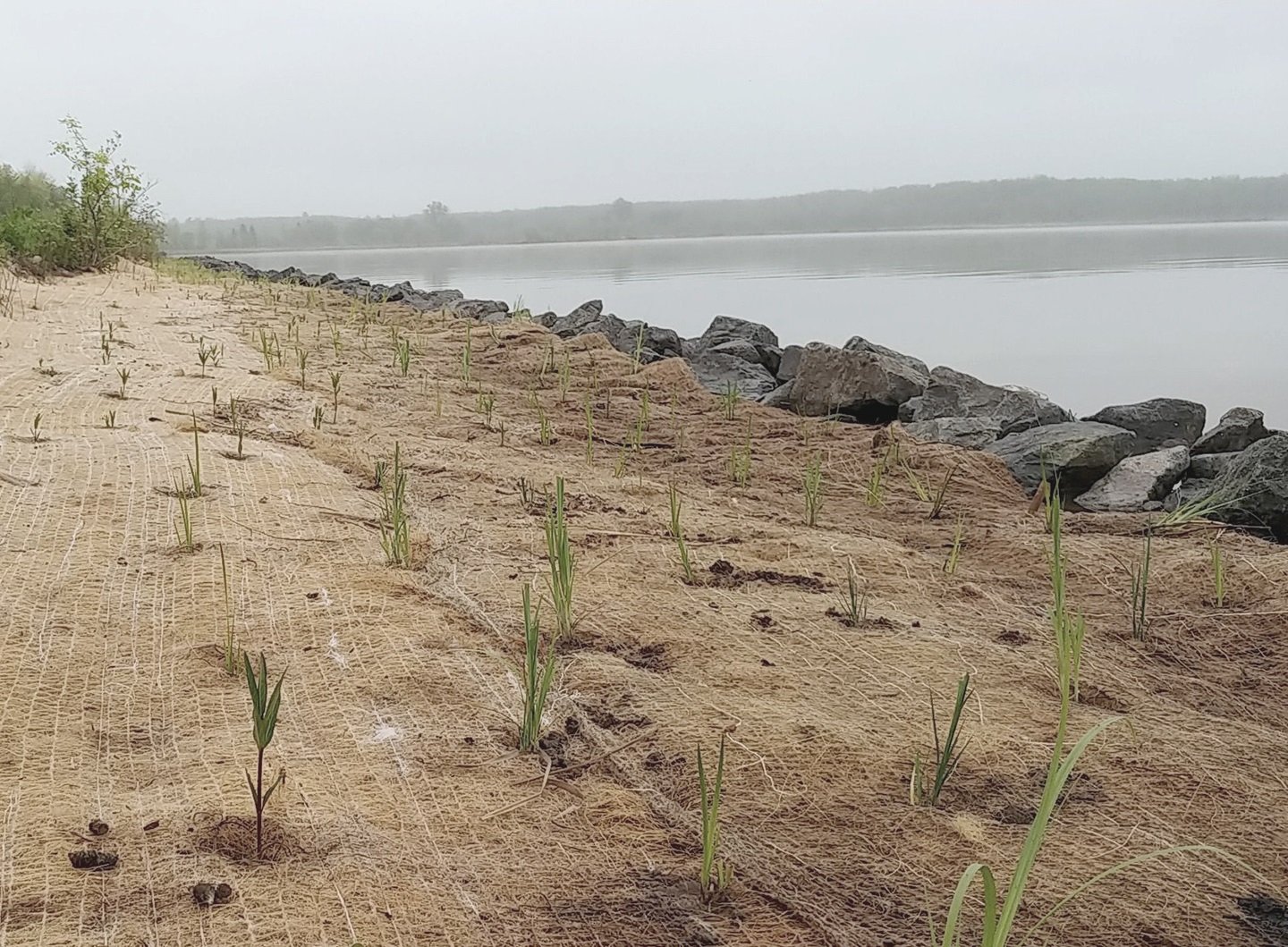 img-coastal-engineering-wisonsin-point-living-shoreline2