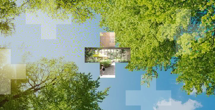 img-healthcare-trends-net-zero