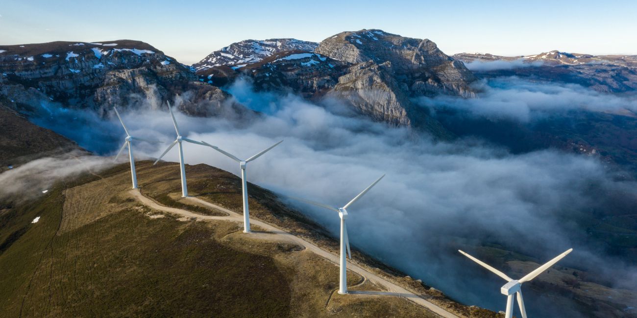 img-services-biodiversity-and-natural-capital-2