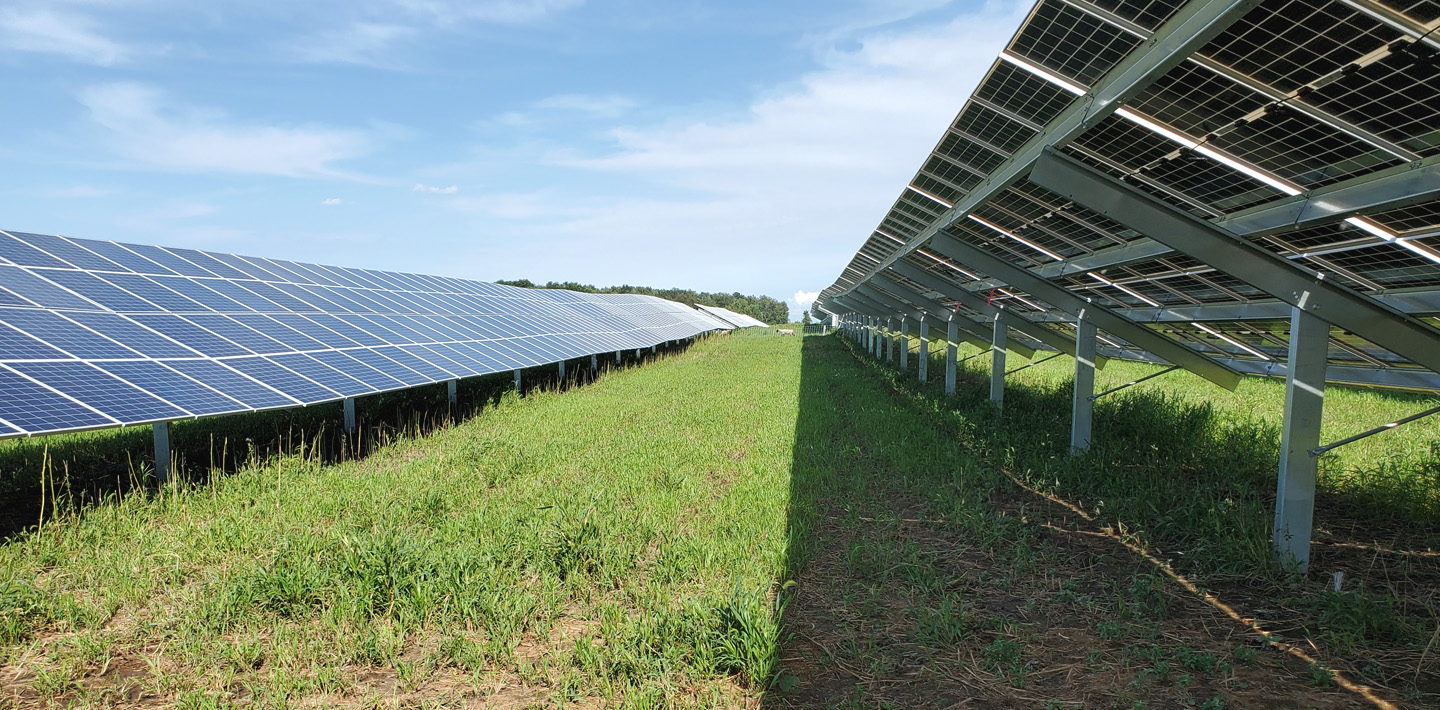 img-solar-array-native-grass-after