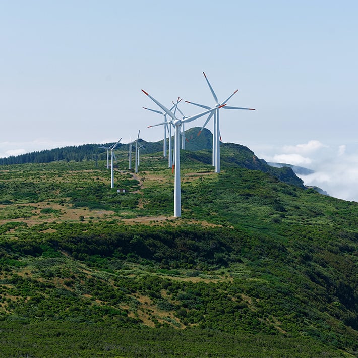 Img-Web-WWA-CSR-Sustainability