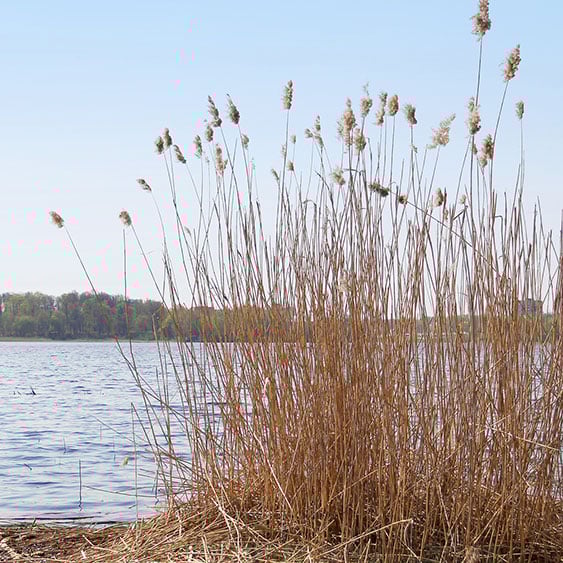 img-website-esg-environmental
