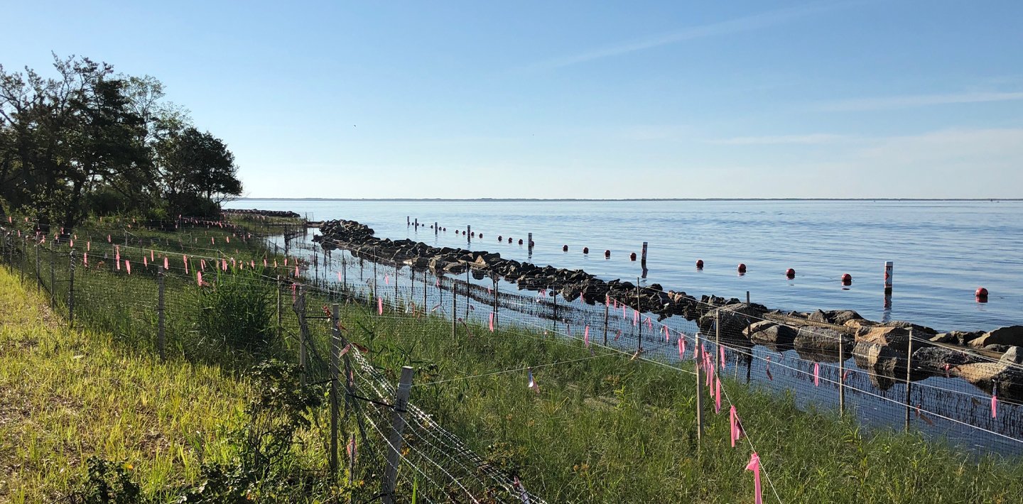 img-wsp-hazard-mitigation-resilience-sustainability