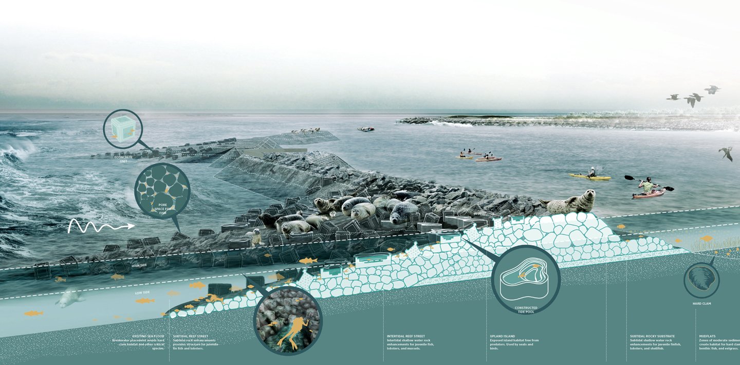 img2-wsp-Living-Breakwaters-Hud-Rebuild-By-Design