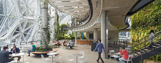 thn-AmazonSpheres