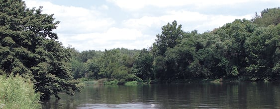 Secluded area of the Anacostia River