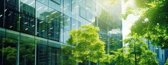 Trees next to a high rise building