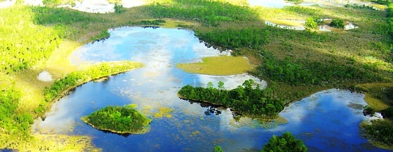 thn-ene-everglades