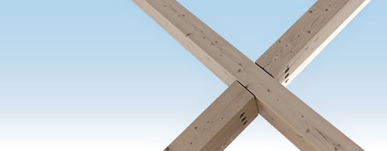 thn-timberX-Concept Structural Design Tool