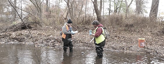 WSP scientists wading in stream gathering water samples