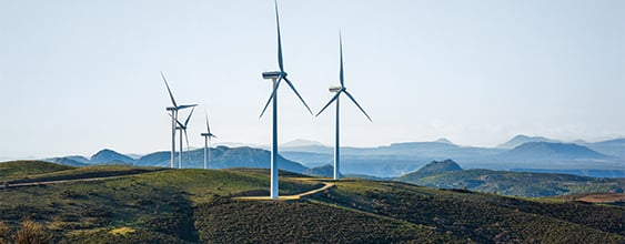Thn-Web-ESG-5-Stars-Rating (1)