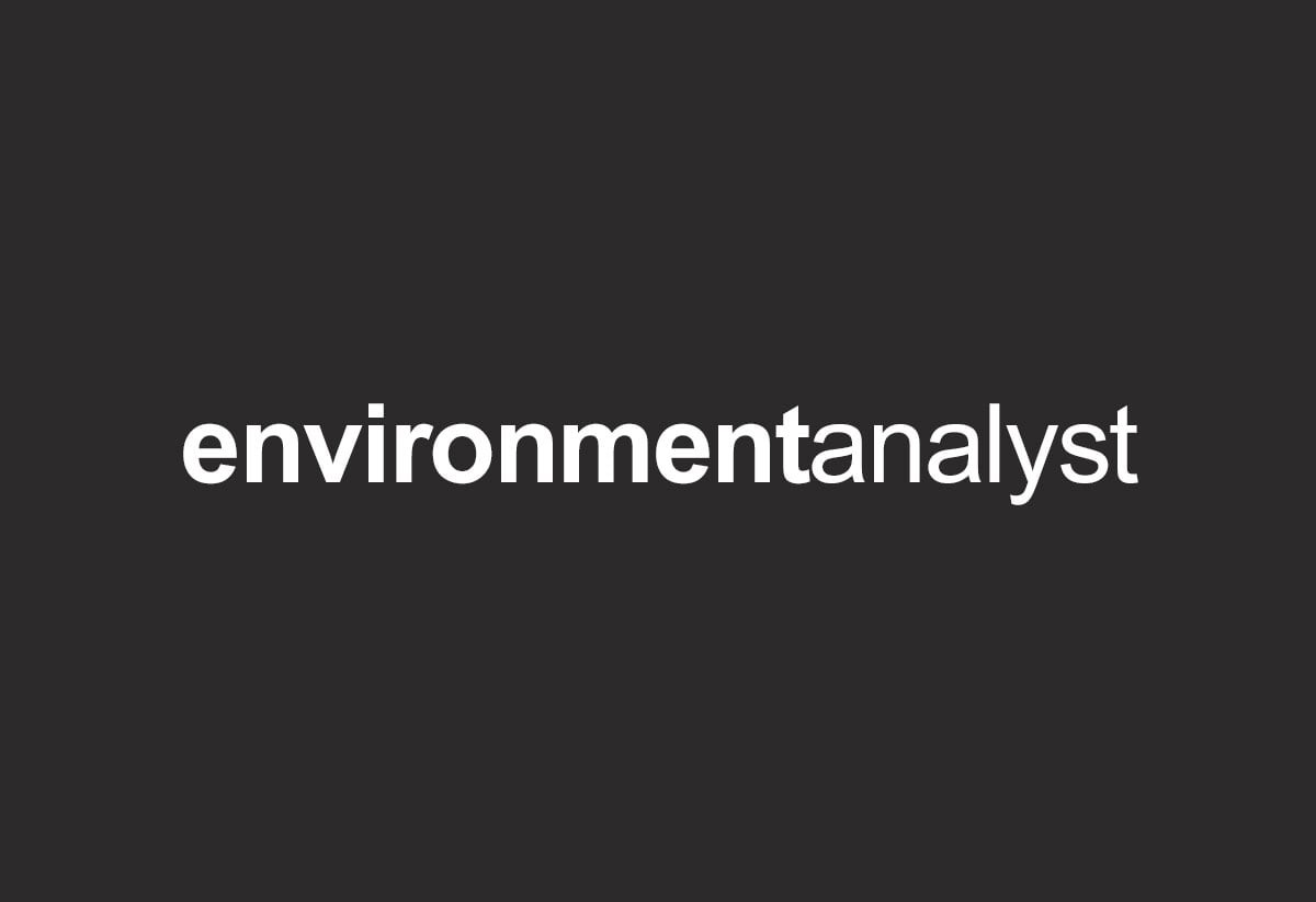WSP | ESG leadership