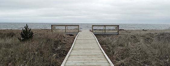 thn-wsp-Boardwalk