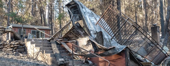 thn-wsp-calrecycle-2020-fire-debris-tree-removal-a