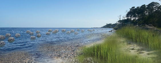 thn-wsp-mote-marine-laboratory-partnership