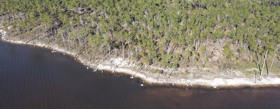 thn-nature-conservancy-oyster-reef-east-bay-shoreline