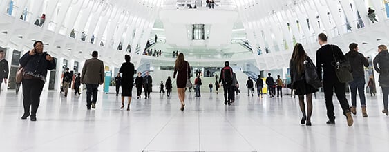 THU_Insights_Themes_Places