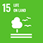 E-WEB-Goal-15