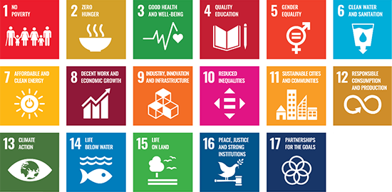 Img-Web-ESG-2023-SDGs-EN