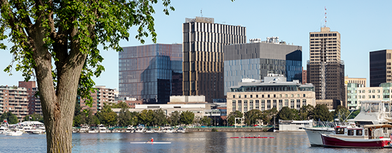 thn-site-4-mit