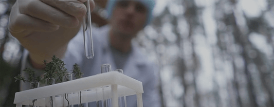 Environmental Expertise | WSP
